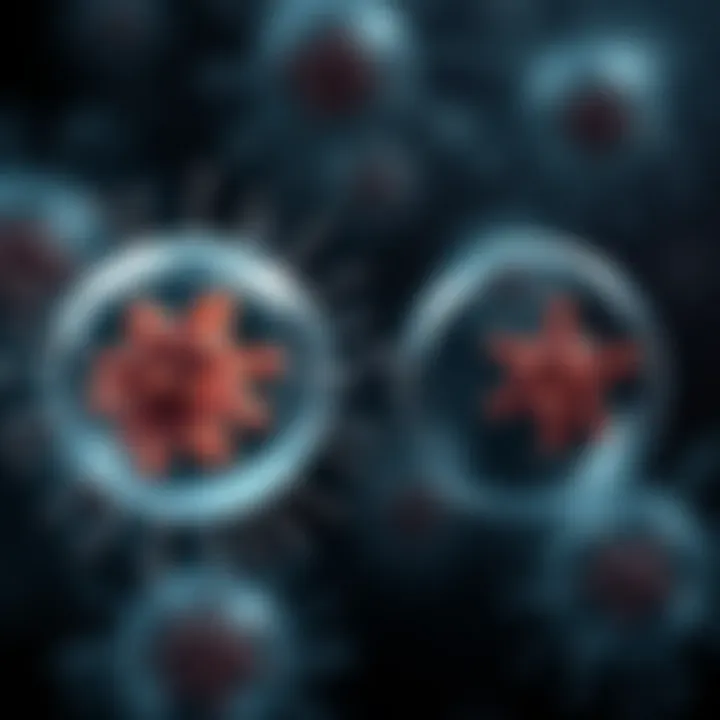 Comparing Binary Fission and Mitosis Mechanisms Comparison illustration of binary fission and mitosis highlighting key differences in cell division