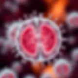 Illustration showing division of a single bacterium into two identical cells through binary fission